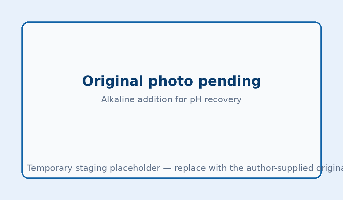 Adding alkaline chemical to restore MBR process pH